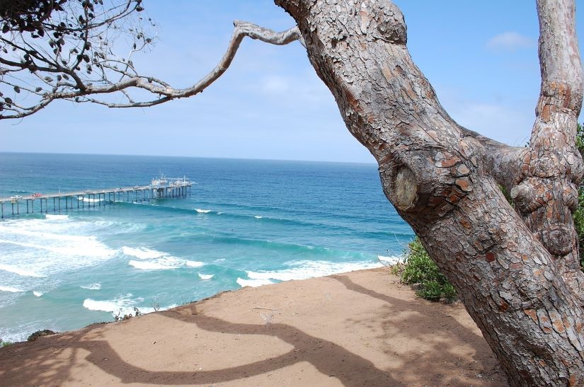 La Jolla's Beautiful Coastline