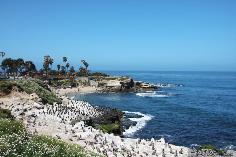 Cove off La Jolla California