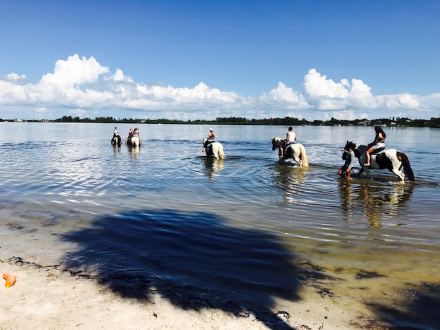 HorseBack Riding